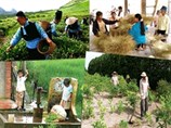 Kiến nghị tổ chức thu gọn Chương trình mục tiêu quốc gia